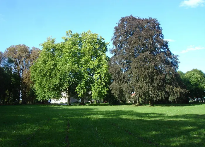 Maison D\'Hotes Le Chateau De Puxe