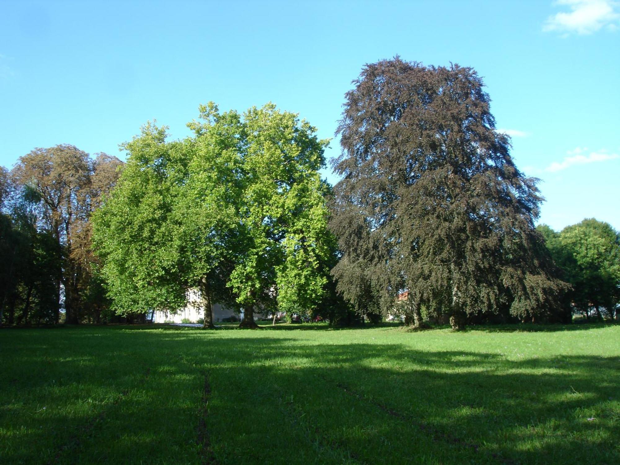 Guest house Le Chateau De