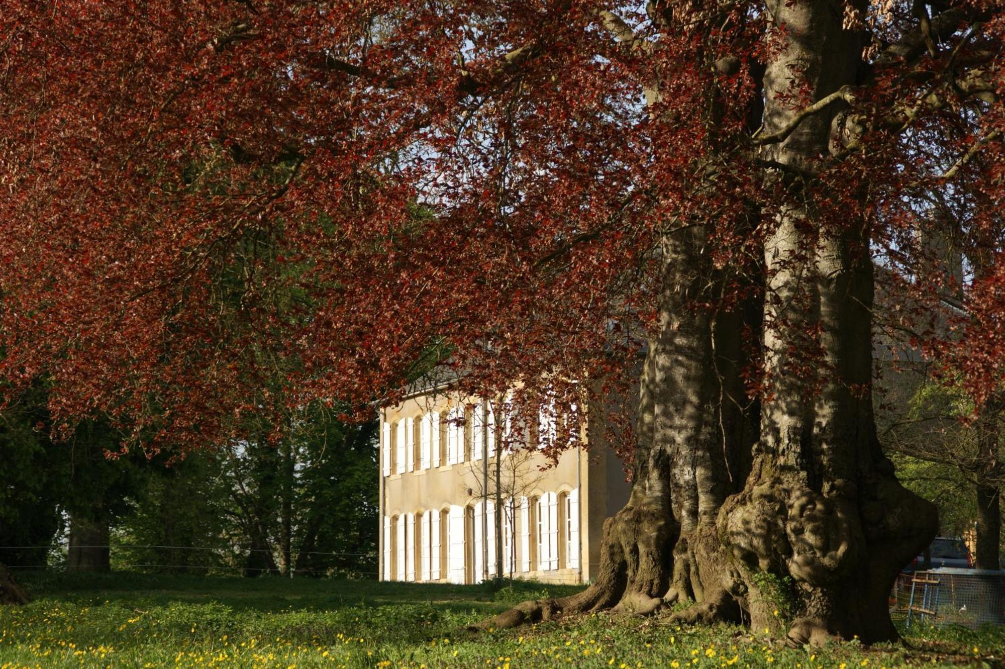 Le Chateau De 2* Puxe